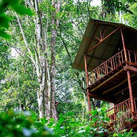 Ella Ecolodge Exterior foto