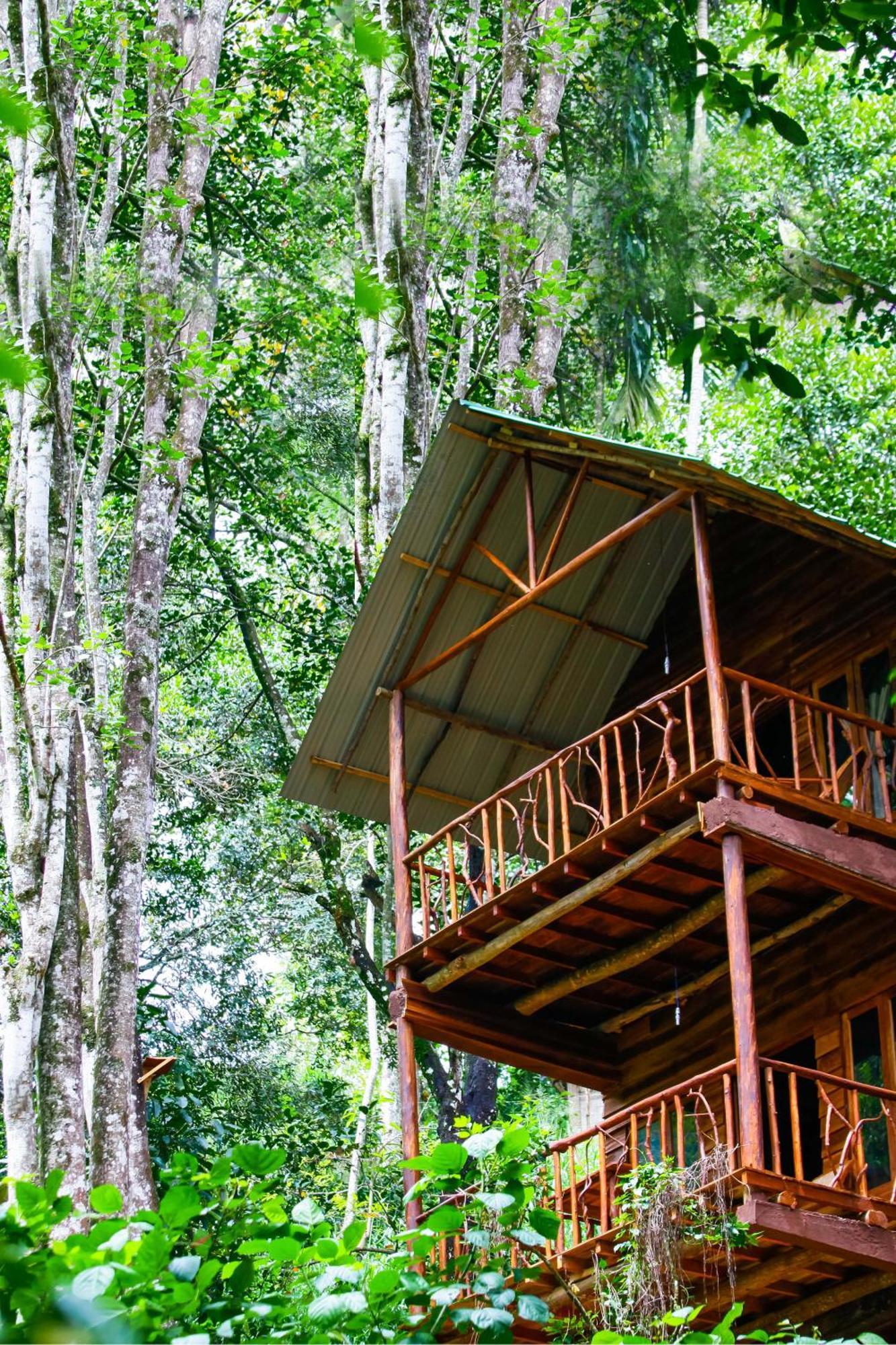 Ella Ecolodge Exterior foto