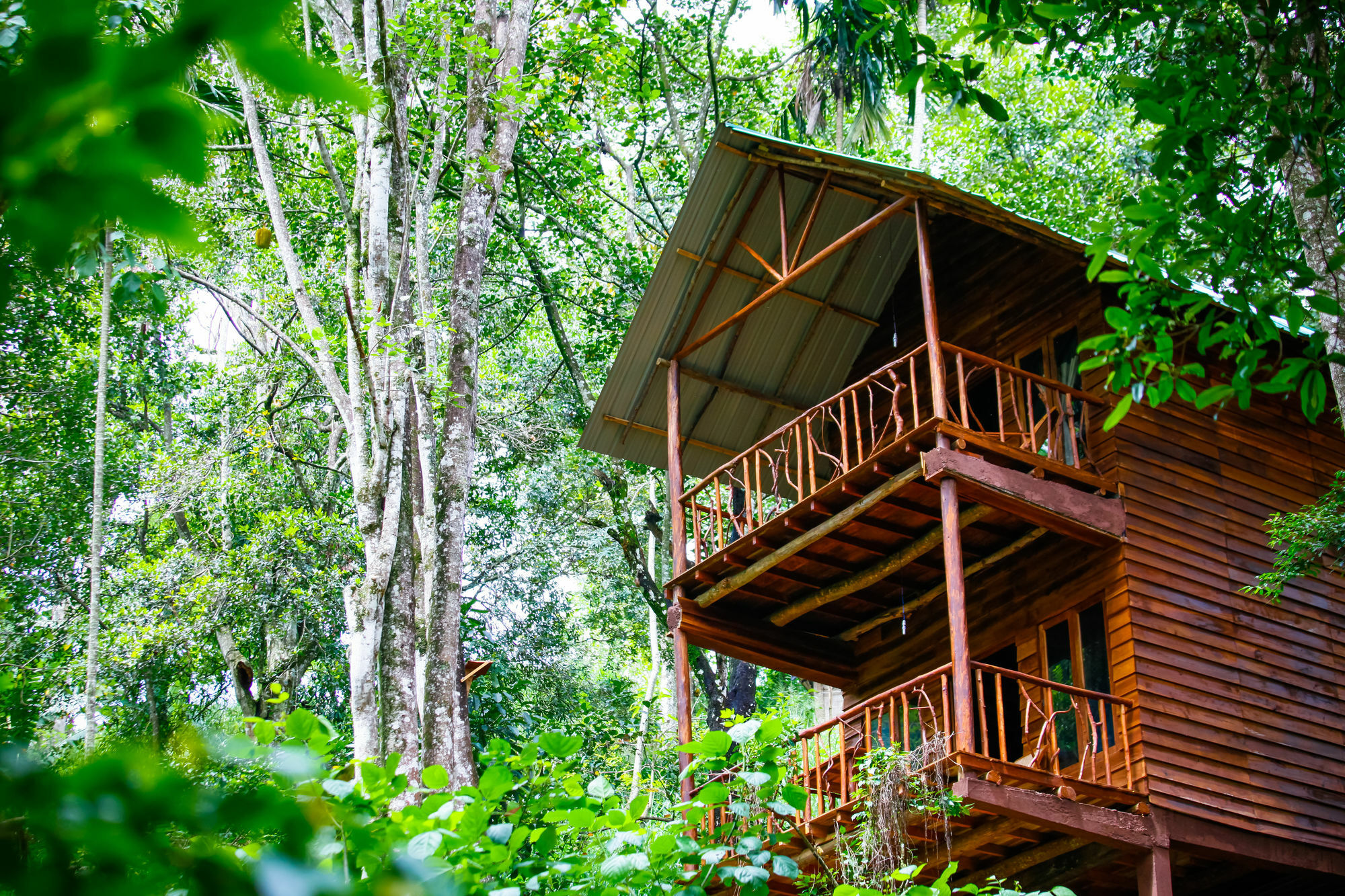 Ella Ecolodge Exterior foto