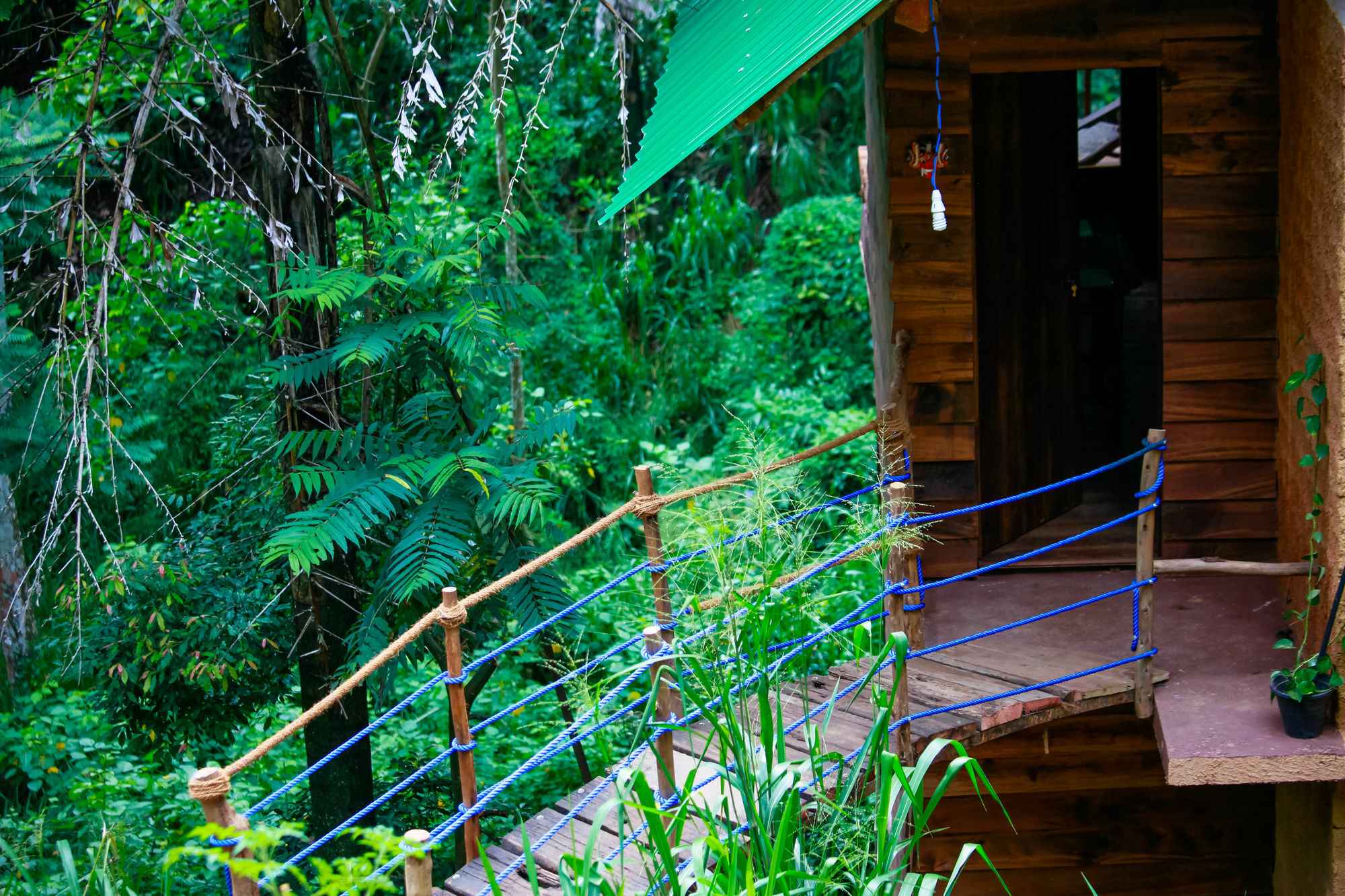 Ella Ecolodge Exterior foto