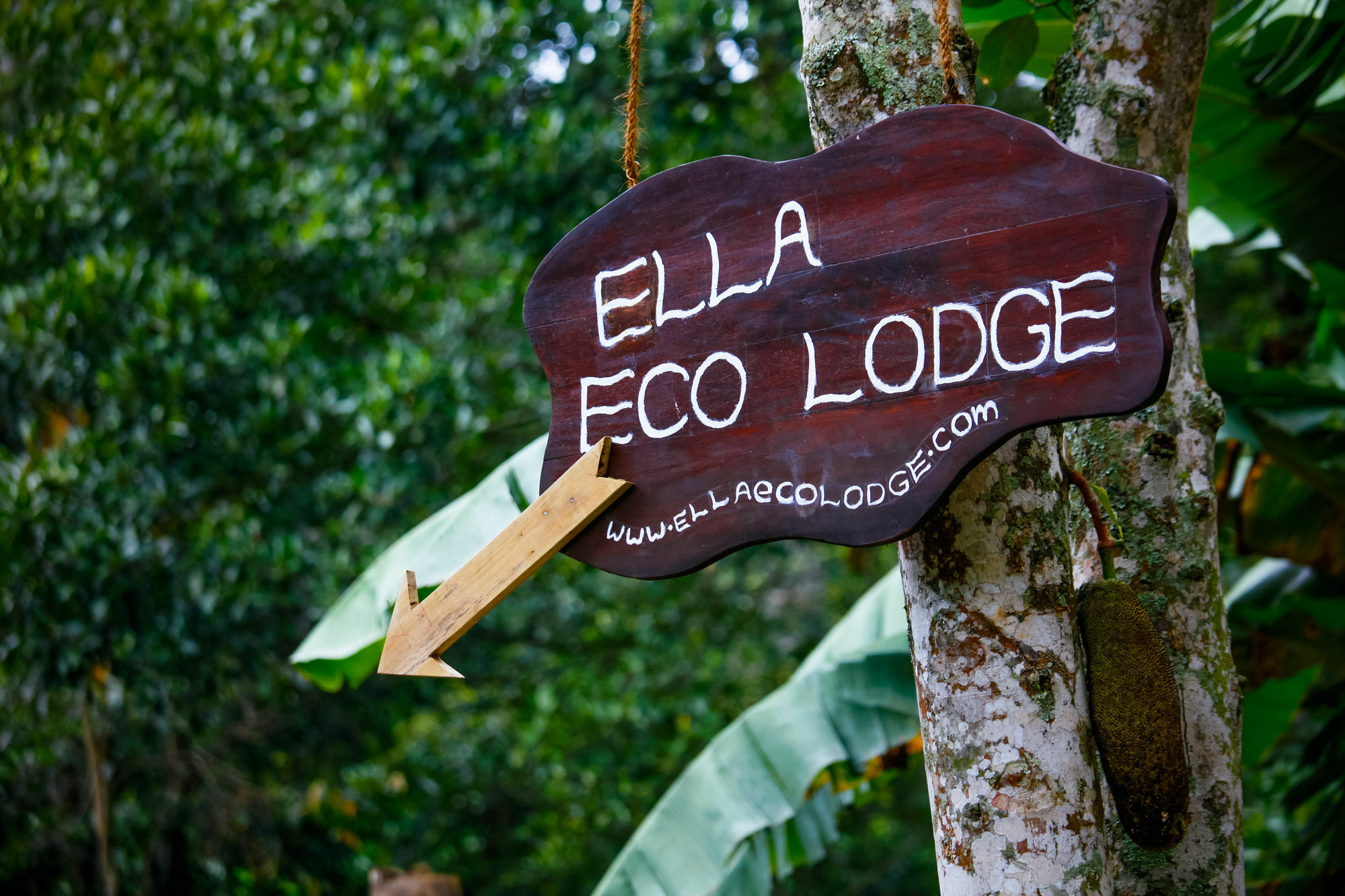 Ella Ecolodge Exterior foto