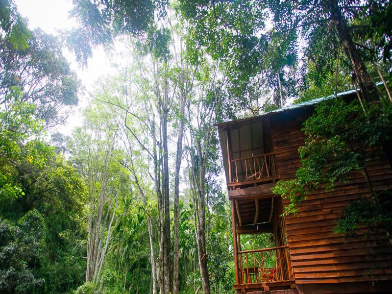 Ella Ecolodge Exterior foto