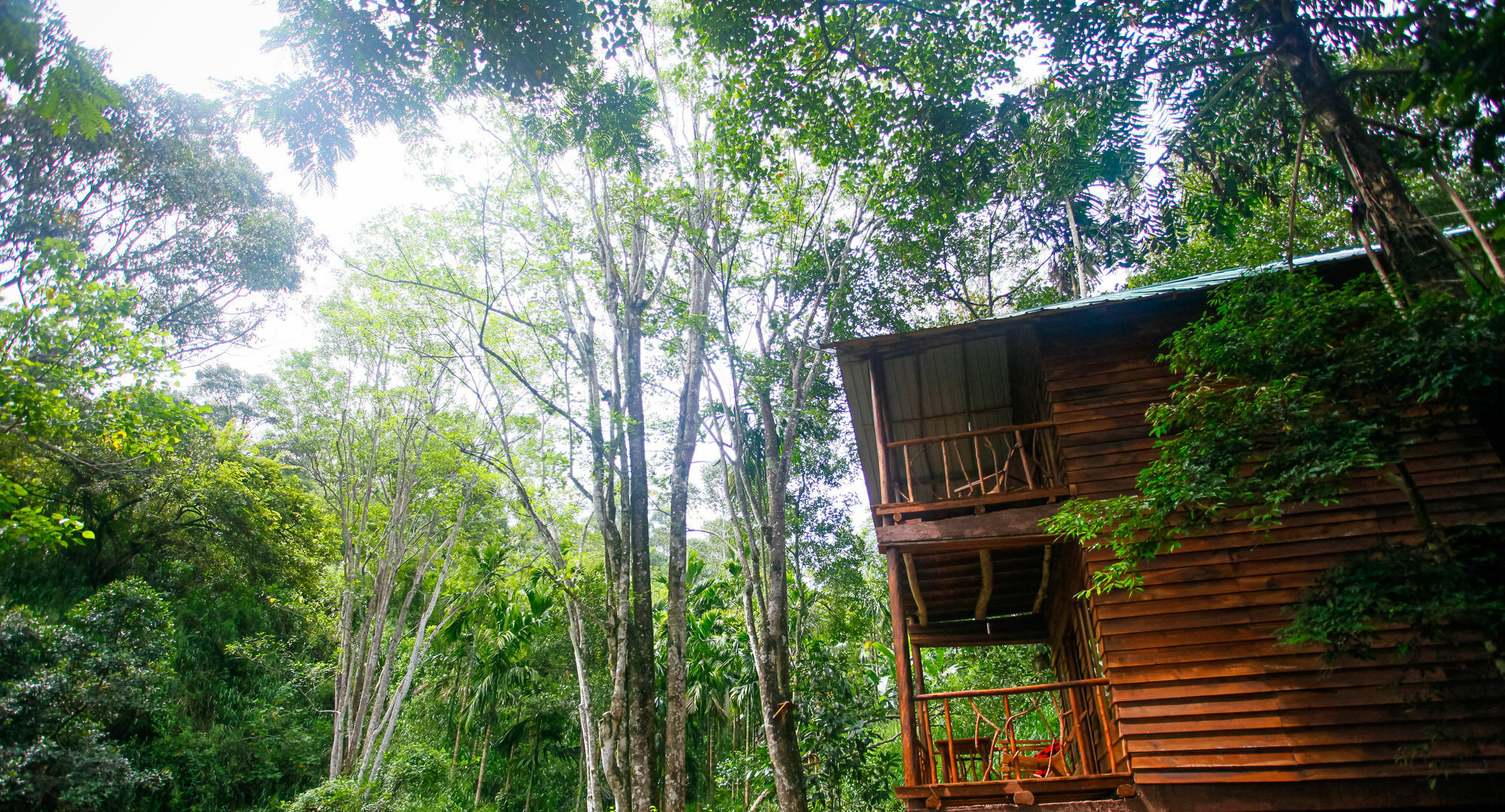 Ella Ecolodge Exterior foto