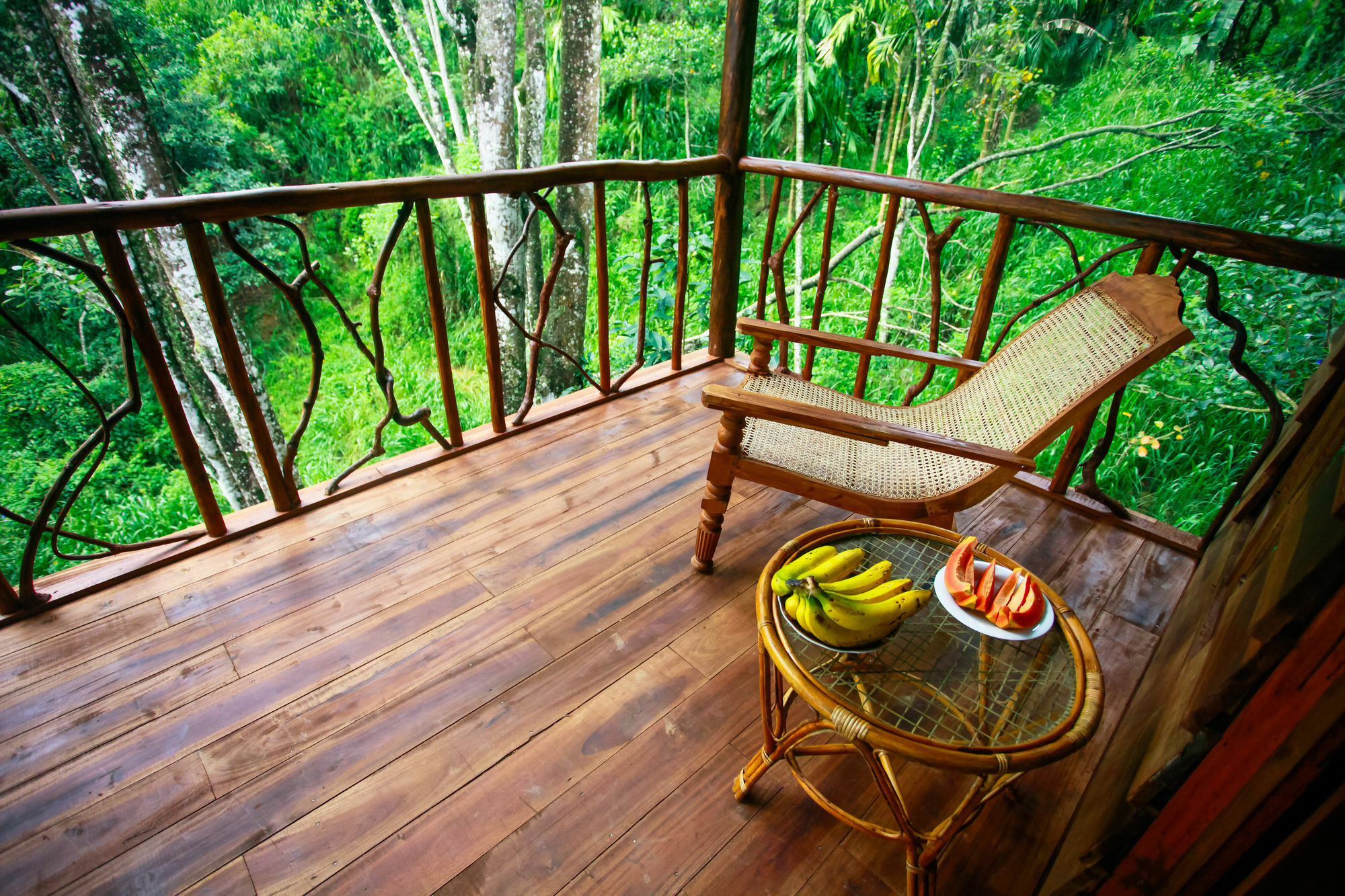 Ella Ecolodge Exterior foto