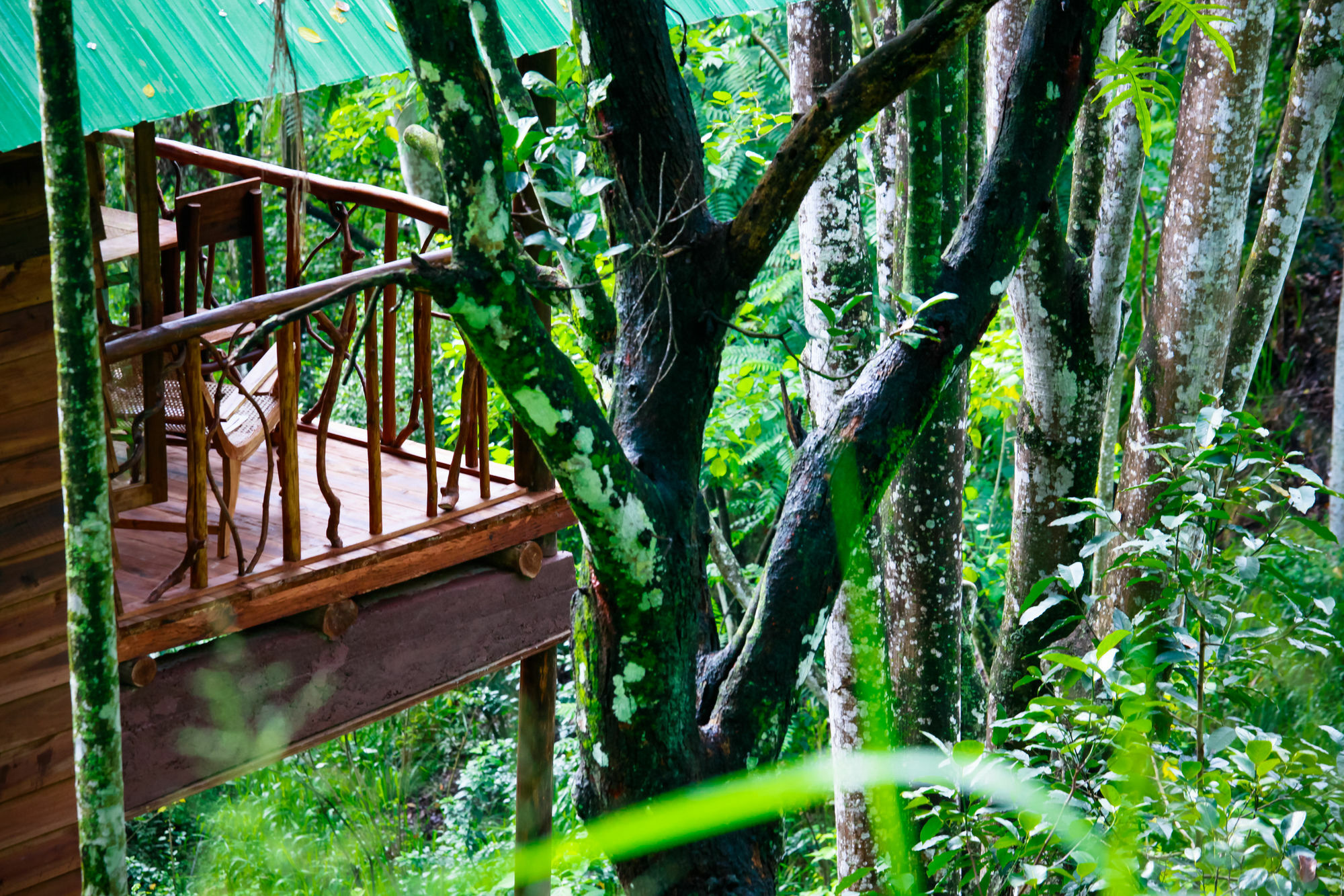 Ella Ecolodge Exterior foto
