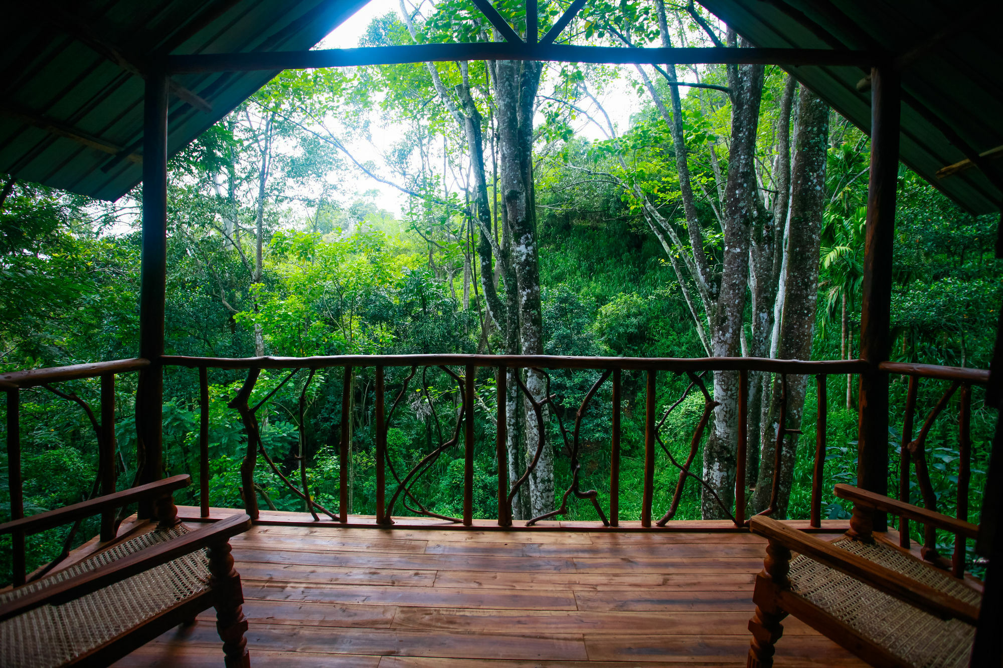 Ella Ecolodge Exterior foto